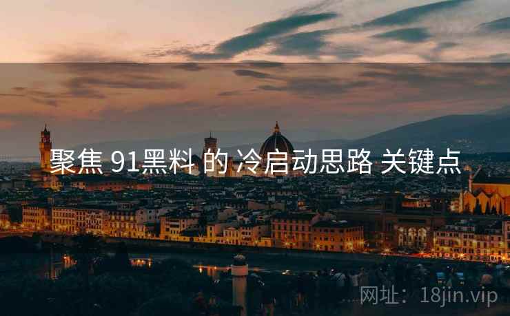 聚焦 91黑料 的 冷启动思路 关键点