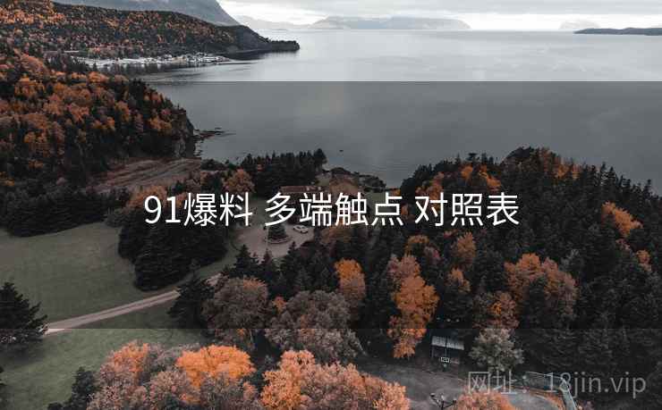 91爆料 多端触点 对照表