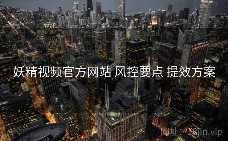 妖精视频官方网站 风控要点 提效方案