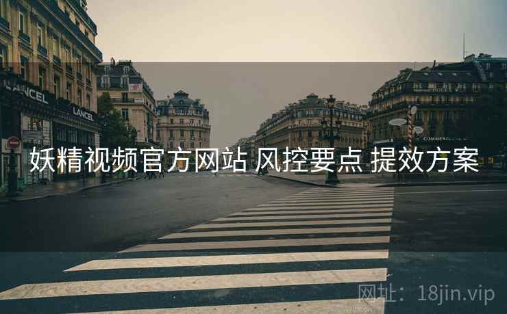 妖精视频官方网站 风控要点 提效方案
