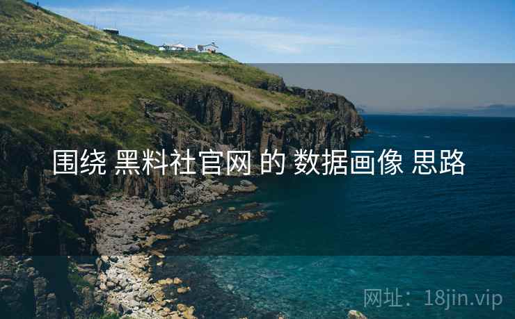 围绕 黑料社官网 的 数据画像 思路