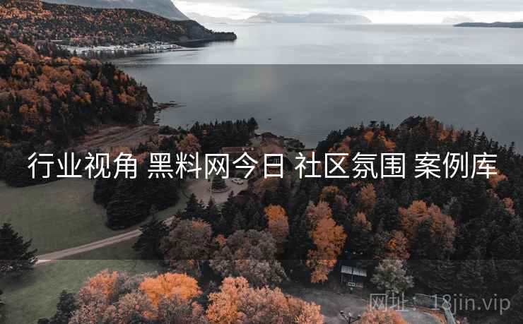 行业视角 黑料网今日 社区氛围 案例库