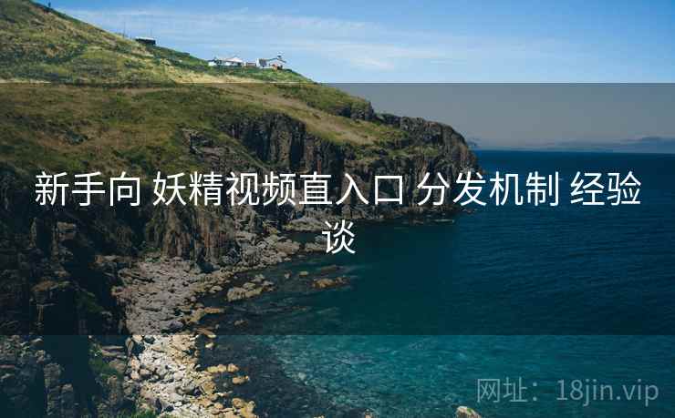 新手向 妖精视频直入口 分发机制 经验谈