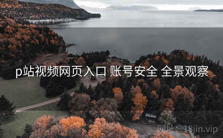 p站视频网页入口 账号安全 全景观察