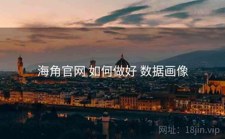 海角官网 如何做好 数据画像