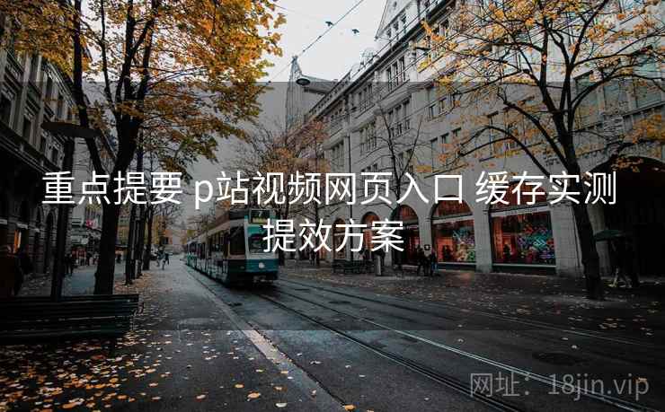 重点提要 p站视频网页入口 缓存实测 提效方案