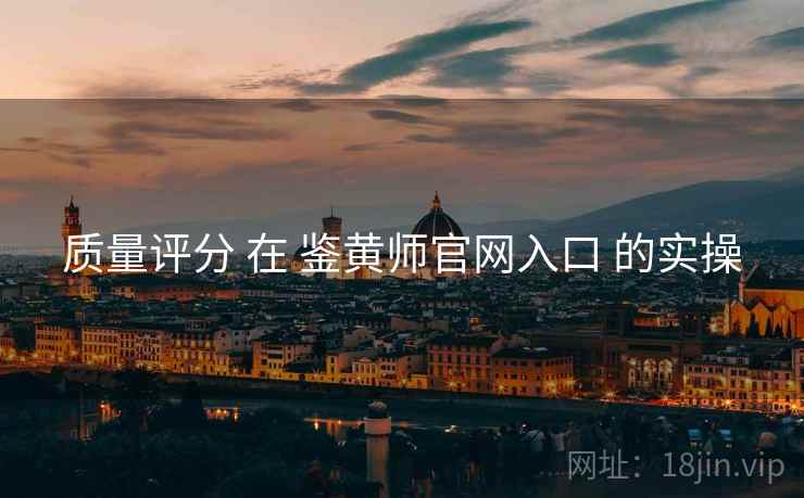 质量评分 在 鉴黄师官网入口 的实操