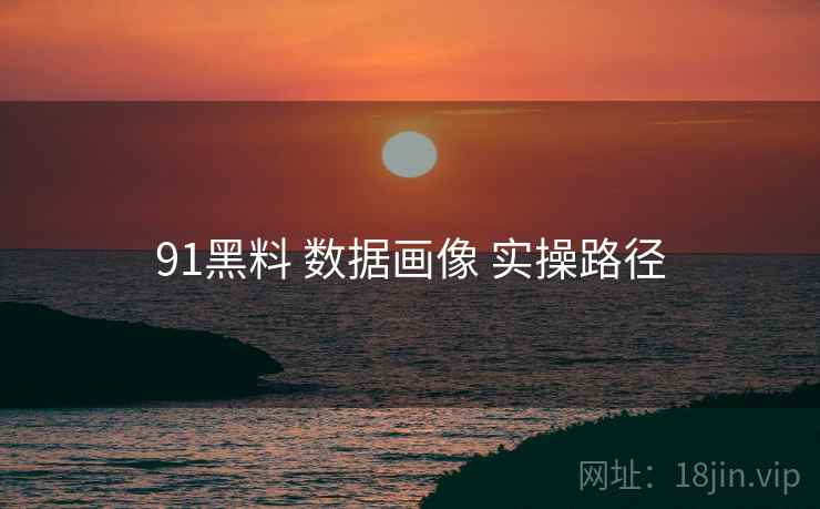 91黑料 数据画像 实操路径