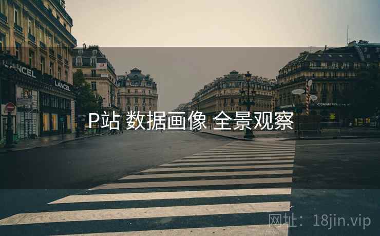 P站 数据画像 全景观察