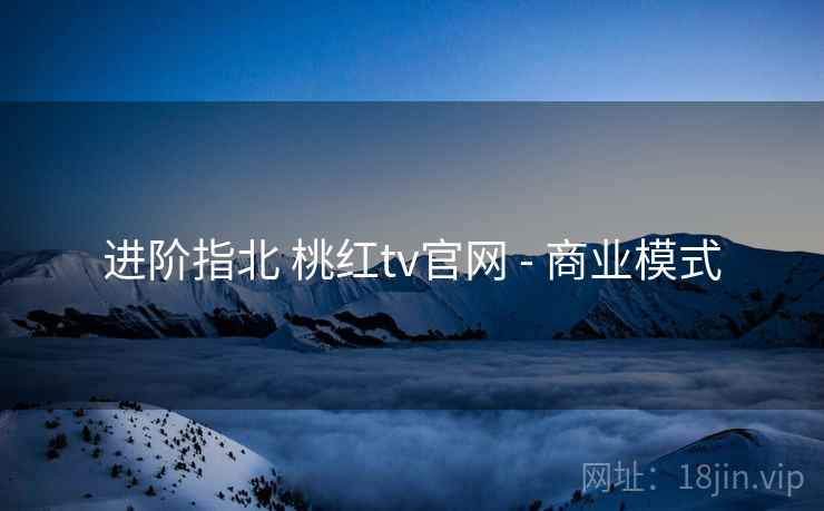 进阶指北 桃红tv官网 - 商业模式