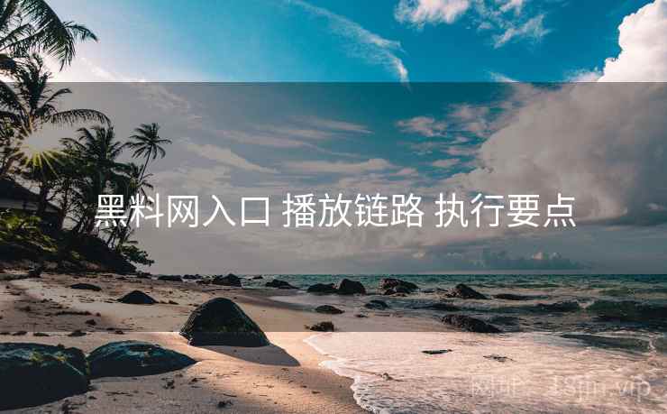 黑料网入口 播放链路 执行要点
