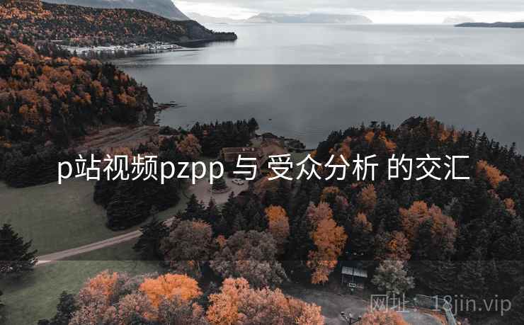 p站视频pzpp 与 受众分析 的交汇