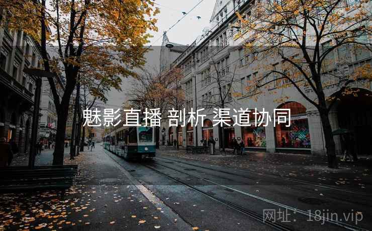 魅影直播 剖析 渠道协同