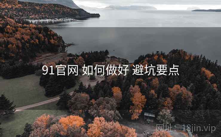 91官网 如何做好 避坑要点